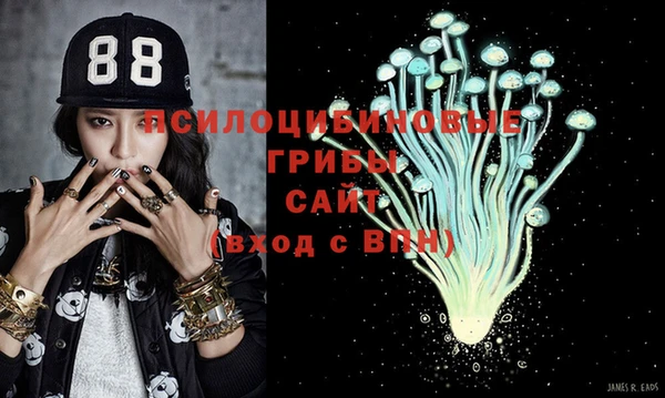 стафф Сосновка