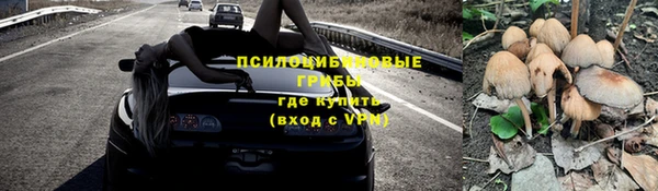 мяу мяу мука Сосновый Бор
