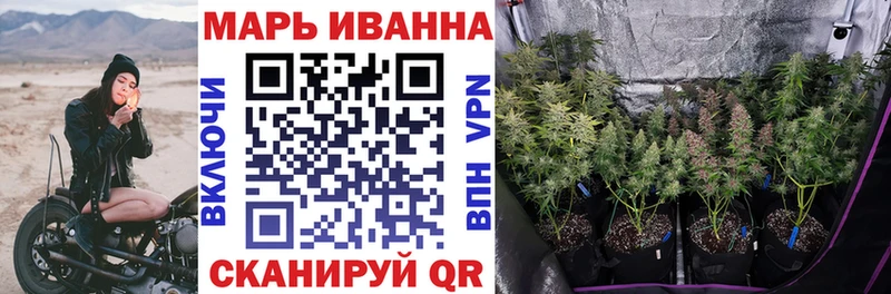 Конопля Bruce Banner  Купить закладки  Сальск 